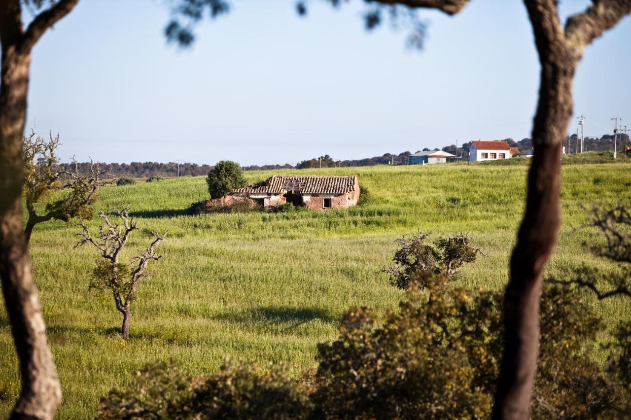 Eco Glamping Portugal Nature Lodge São Luis Extérieur photo