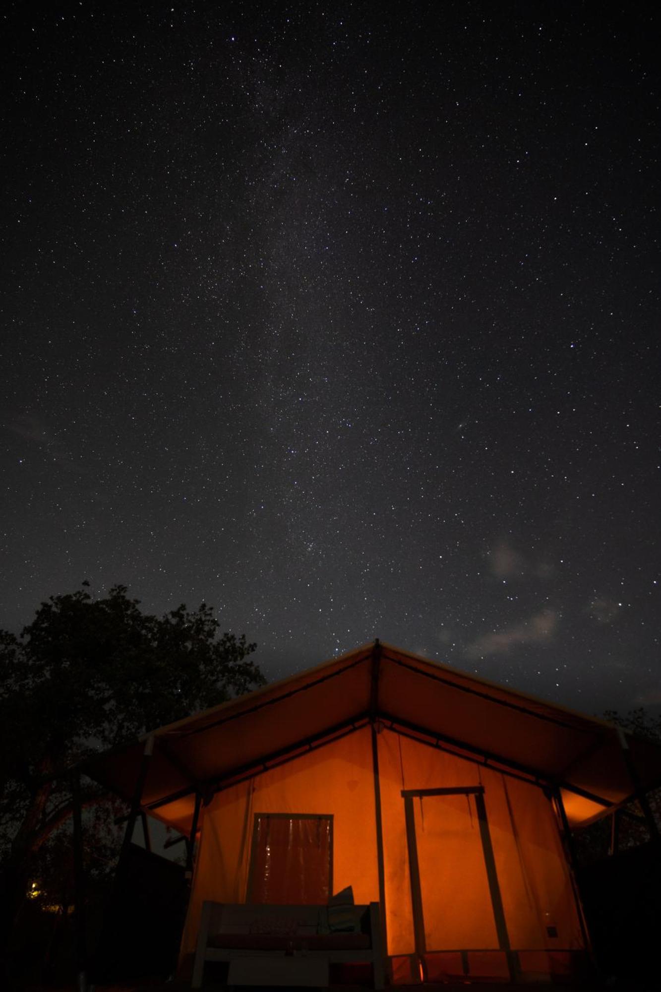 Eco Glamping Portugal Nature Lodge São Luis Extérieur photo