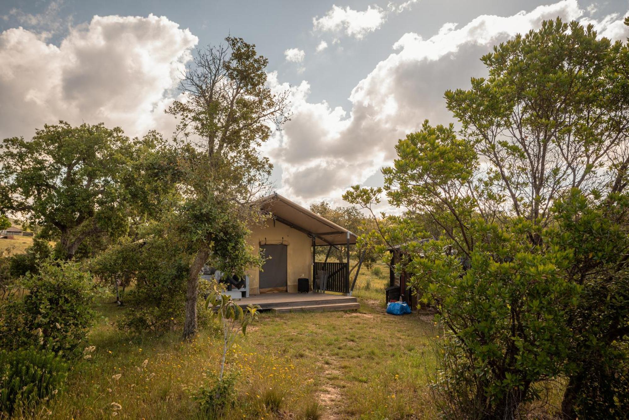 Eco Glamping Portugal Nature Lodge São Luis Extérieur photo