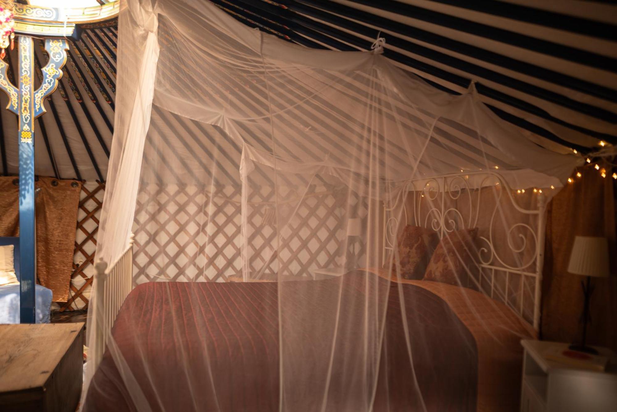 Eco Glamping Portugal Nature Lodge São Luis Extérieur photo