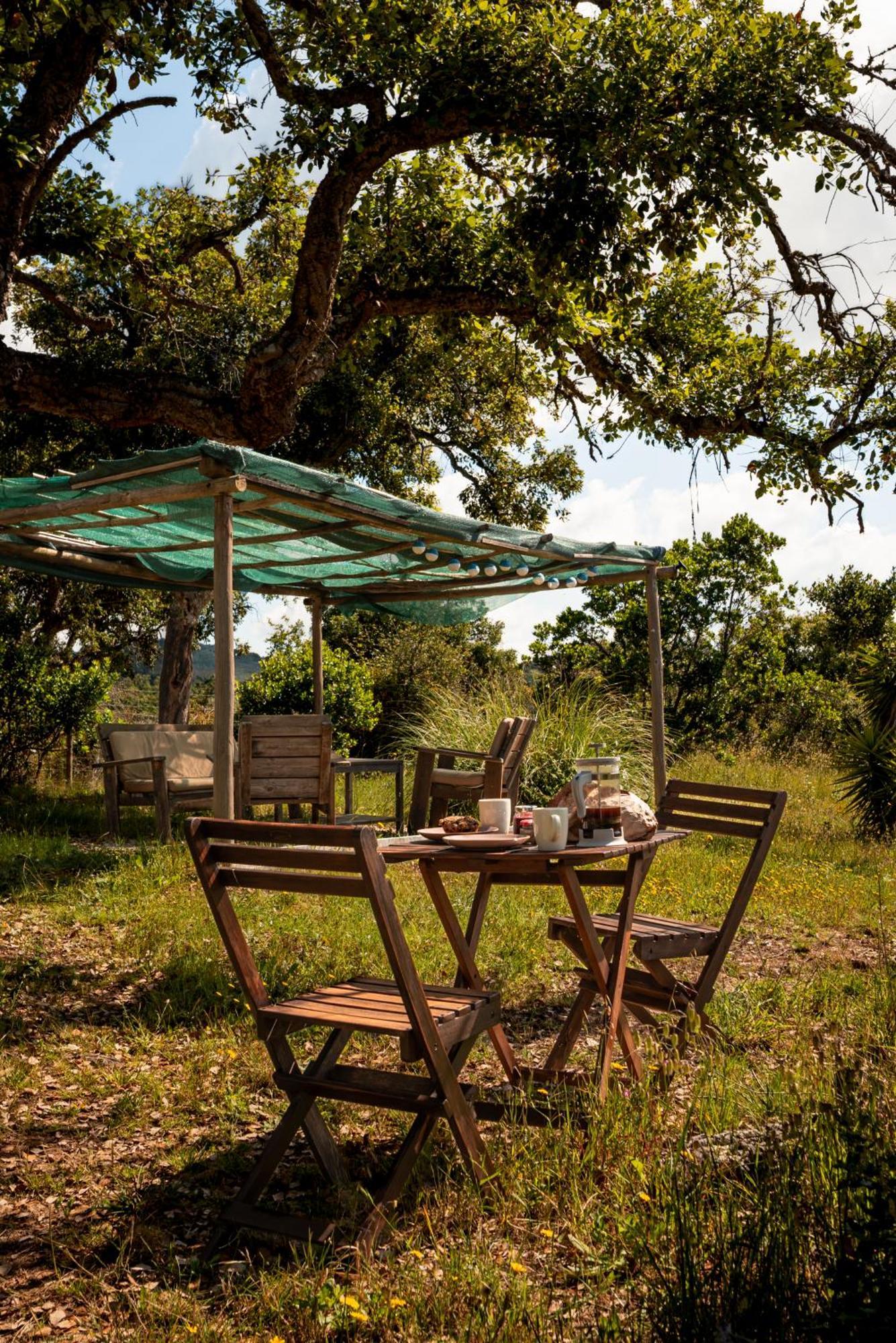 Eco Glamping Portugal Nature Lodge São Luis Extérieur photo